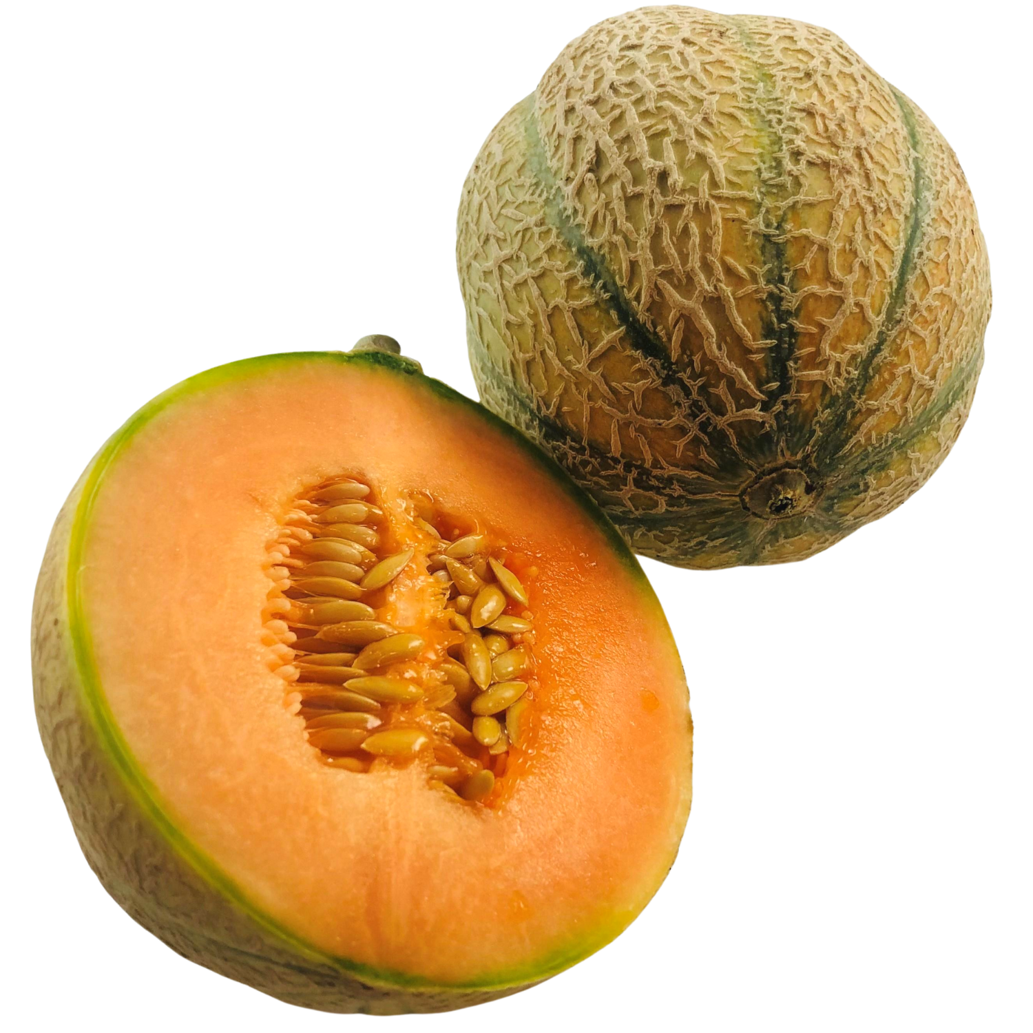 Honigmelone Bio