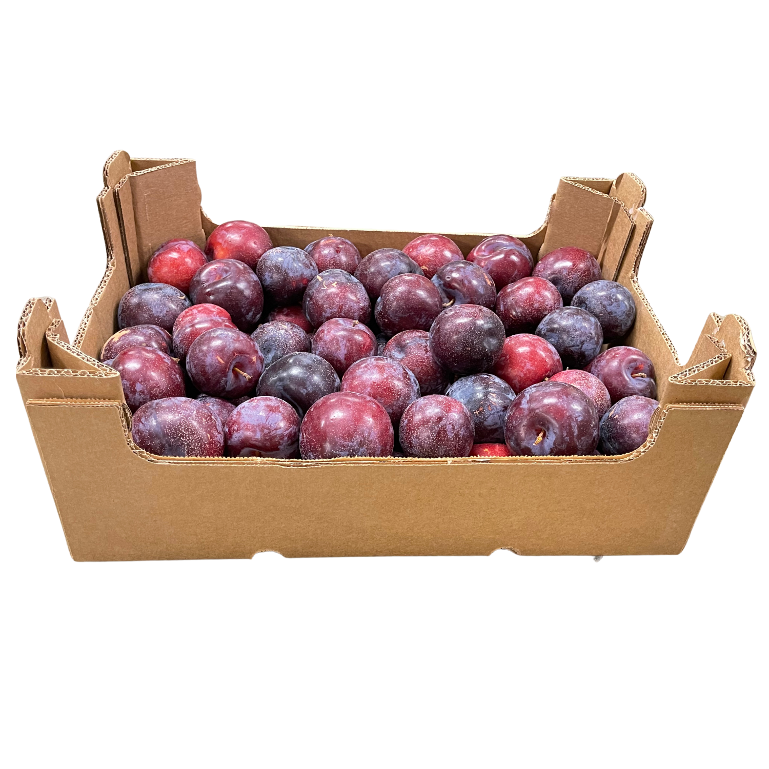 Pflaumen blau Bio Kiste ca. 9 kg