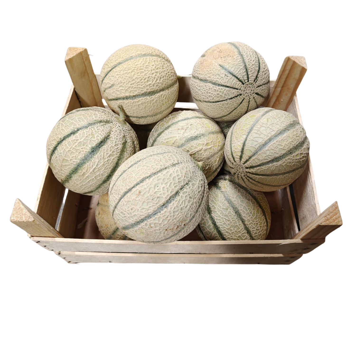 Honigmelone Bio Kiste ca. 7 kg