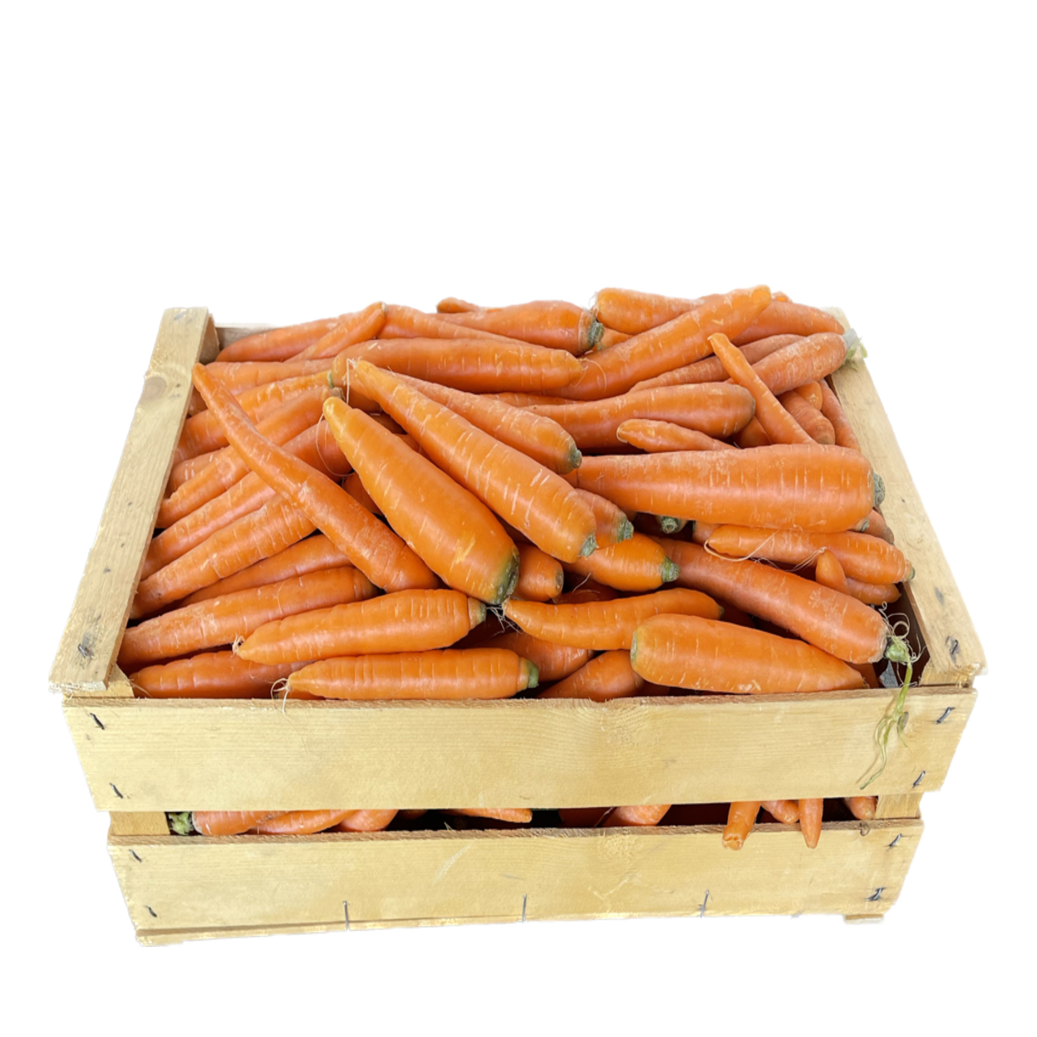 Carote Bio Cassa 10 kg